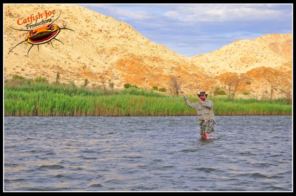 Fly Fishing Photo Gallery Fly fishing for Yellowfish Pictures Smallmouth Yellowfish Photos